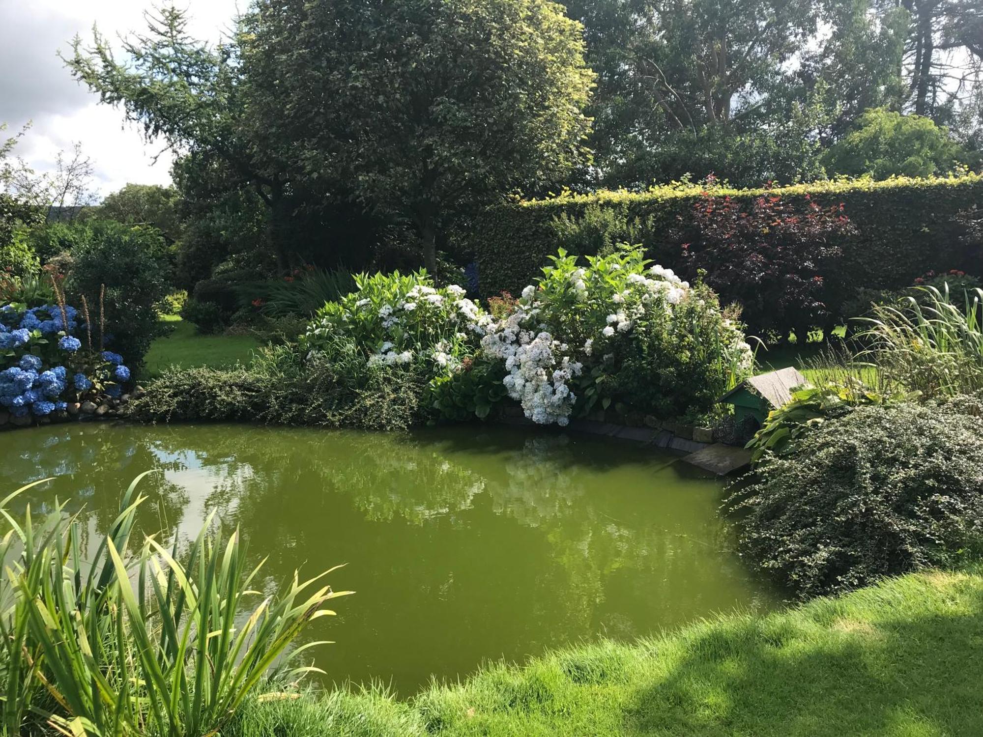 The Garden Cottage, Inglewhite מראה חיצוני תמונה